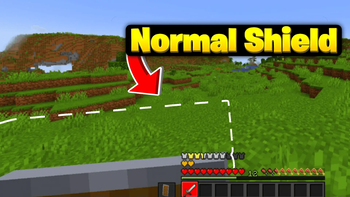 Normal Shield Vs With Pack Shield
