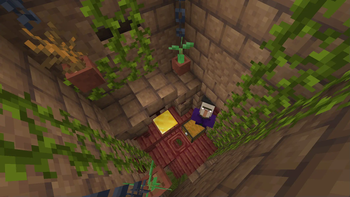 Mangrove Tower Interior