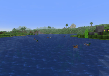Birds in a River