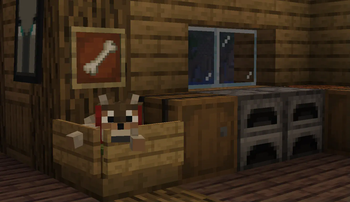 Man's Best Friend