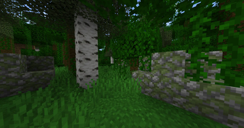 The Ancient Ruins