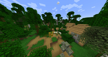 The Ancient Ruins, Village