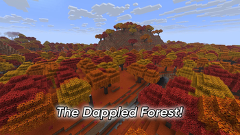 The Dappled Forest!