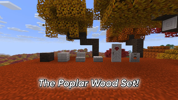 The Poplar Wood Set!