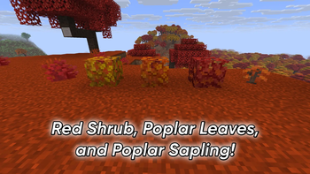 Red Shrub, Poplar Leaves, and Poplar Sapling!