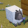 Berkian Cattle