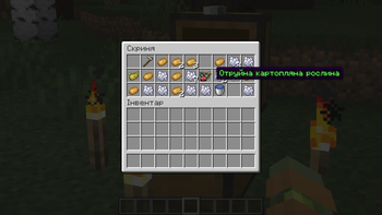 Items