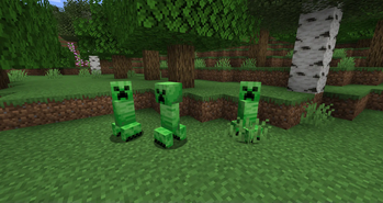 Temperate Creepers