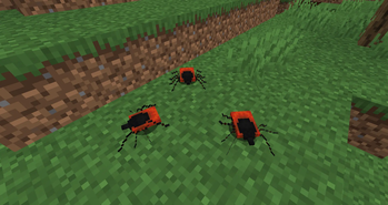 Ticks