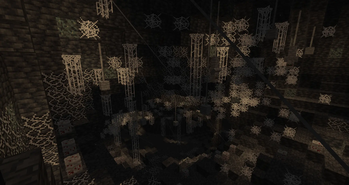 Spider Cave Biome