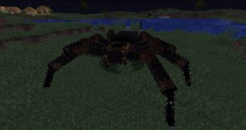 Tarantula