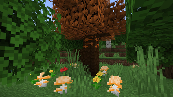 maple tree with sap and wrinkled peaches