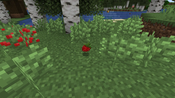 strawberry bushes in birch forests (update 2.0.0)