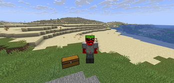 The full set of world armor