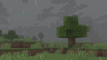 Thunder