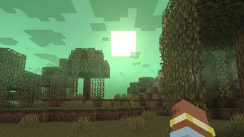 Swamp