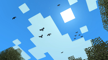 Birds