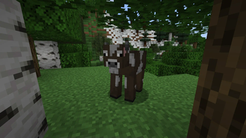 Fresh Animations