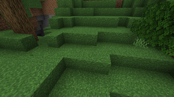 Better Grass