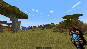 Item texture ingame