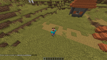 Third-person view of the item