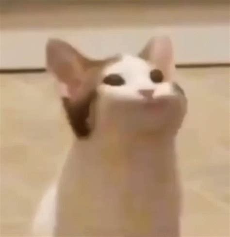 Adorfi