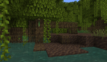 Mangrove Swamp