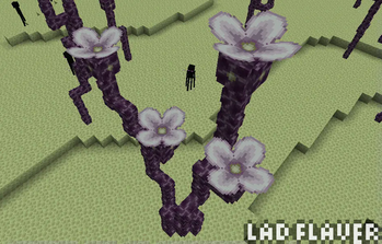 Chorus Plants