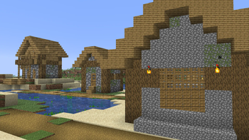 Village
