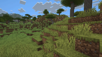 Grass