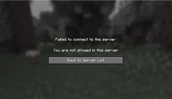 Failed server access by non-whitelisted player.