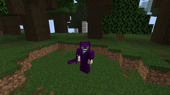 Enderite Armor & Sword