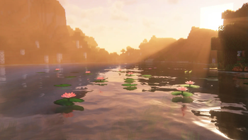 Lily Pad Flower
