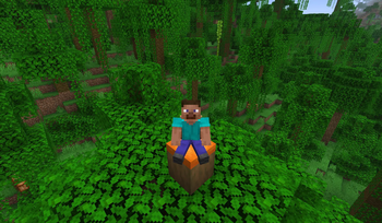 You can sit on them!