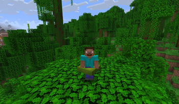 Cushion Backport — screenshot 2