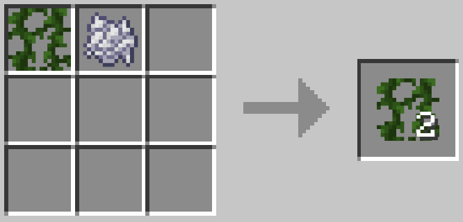 Duplicate Vines, Mushroom, saplings and leaves