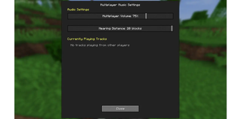 MultiPlayer Feature 