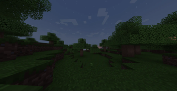 Maple forest