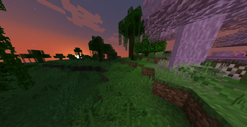4 biomes