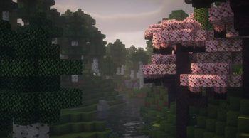 BSL Shaders