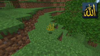 Image of the totem while dropped