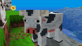Cow
