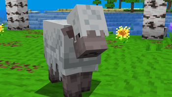 Sheep