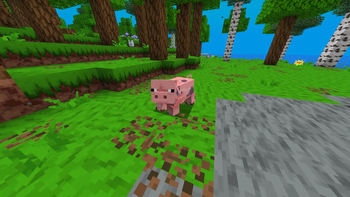 Pig