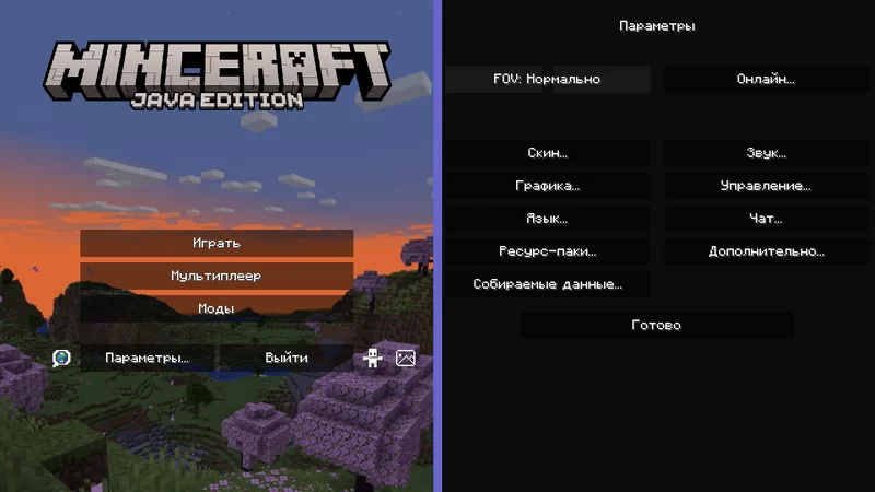 main menu