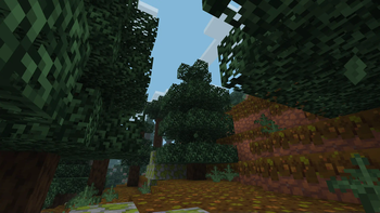ive found a tree