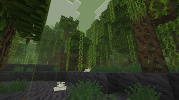 the 2th mangarove screenshots