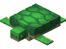 TURTLE MP
