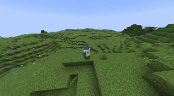 Before