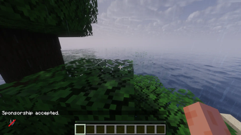Once players accept the sponsorship, they can access the server 